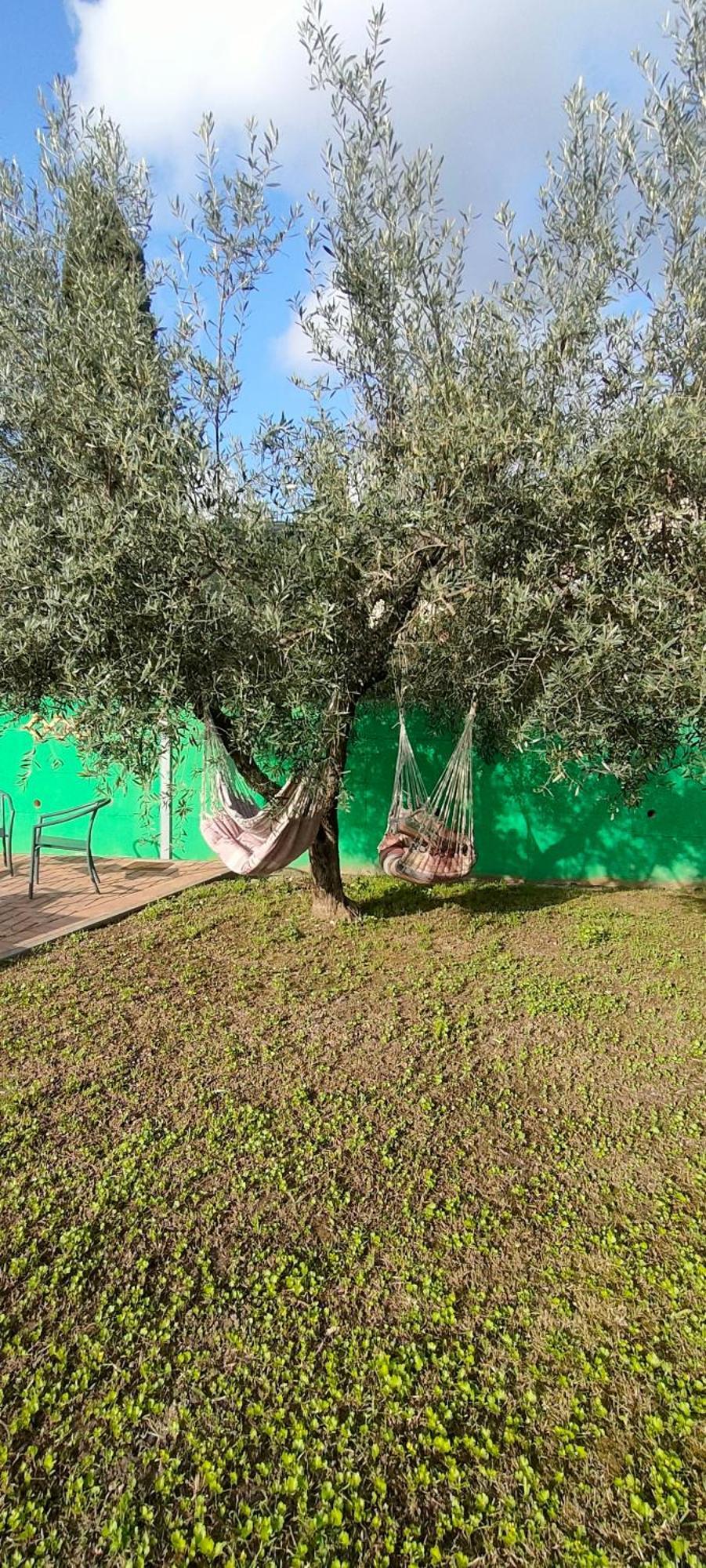 La Tenuta Di Eva Pisa Exterior photo