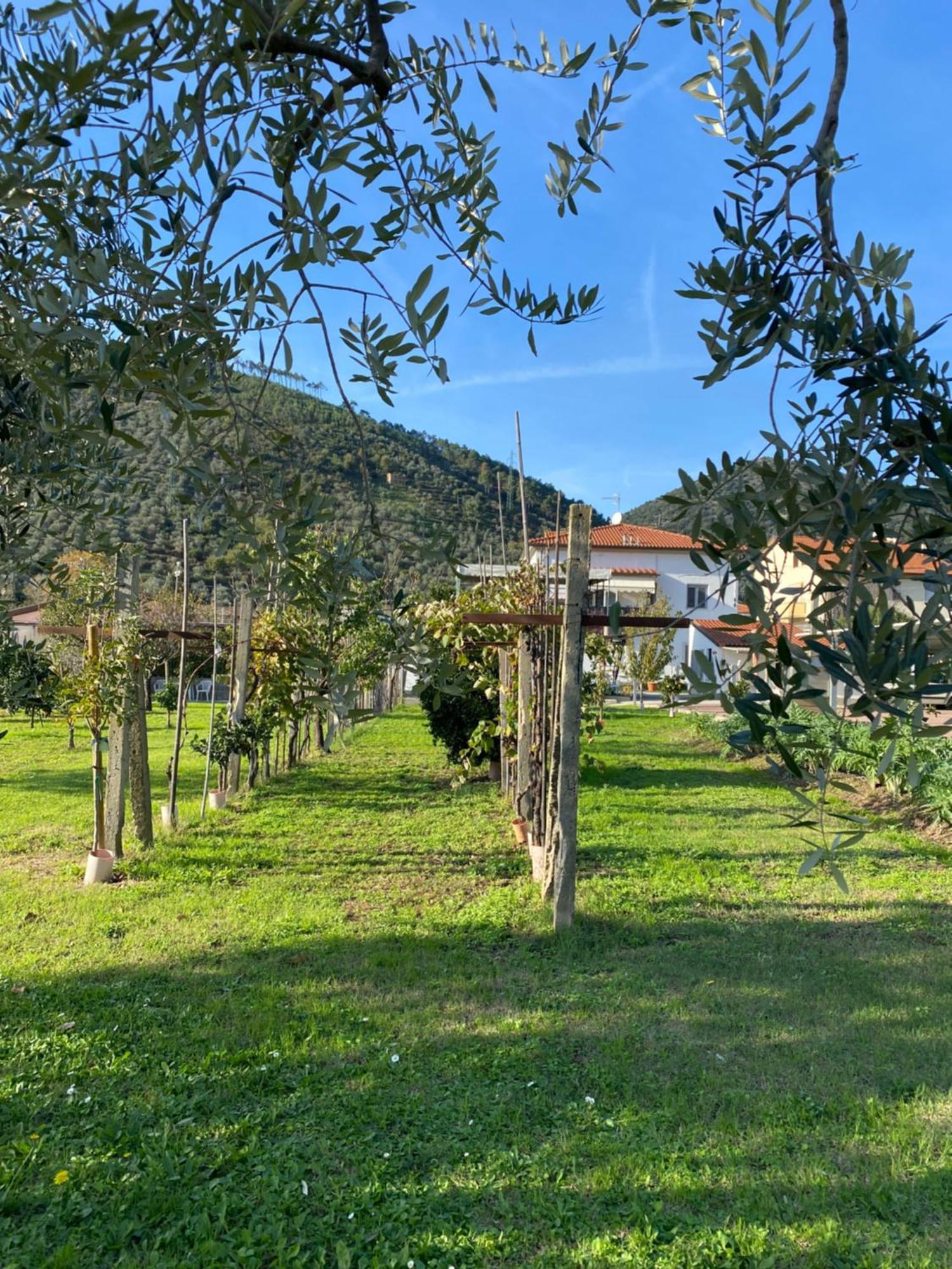 La Tenuta Di Eva Pisa Exterior photo